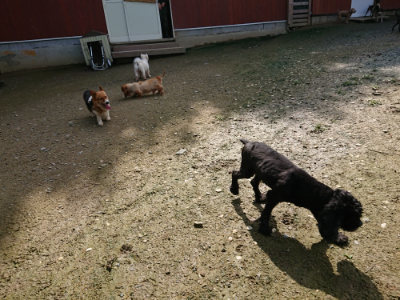 f:id:roukenhome-ann:20190724131704j:plain f:id:roukenhome-ann:20190724131704j:plain