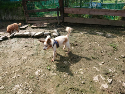 f:id:roukenhome-ann:20190724131710j:plain f:id:roukenhome-ann:20190724131710j:plain