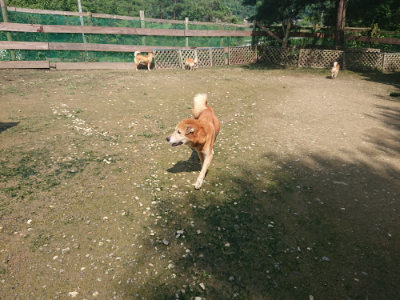 f:id:roukenhome-ann:20190724131715j:plain f:id:roukenhome-ann:20190724131715j:plain