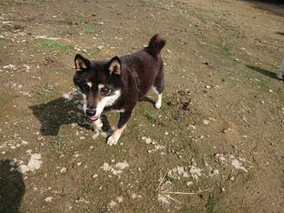 f:id:roukenhome-ann:20190724131720j:plain f:id:roukenhome-ann:20190724131720j:plain