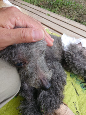 f:id:roukenhome-ann:20190724145452j:plain f:id:roukenhome-ann:20190724145452j:plain