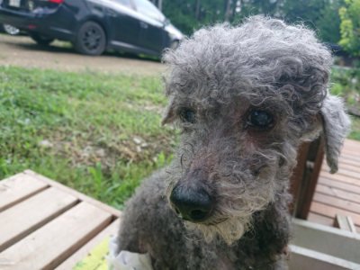 f:id:roukenhome-ann:20190724145559j:plain f:id:roukenhome-ann:20190724145559j:plain