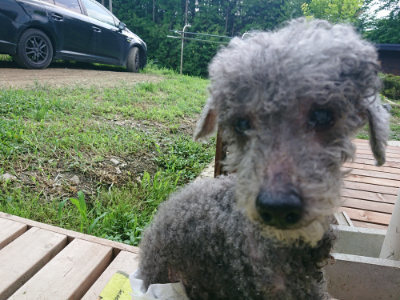 f:id:roukenhome-ann:20190724145603j:plain f:id:roukenhome-ann:20190724145603j:plain