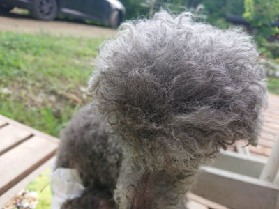 f:id:roukenhome-ann:20190724145640j:plain f:id:roukenhome-ann:20190724145640j:plain
