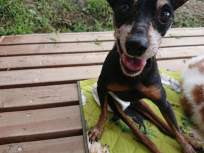f:id:roukenhome-ann:20190724145654j:plain f:id:roukenhome-ann:20190724145654j:plain