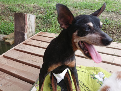 f:id:roukenhome-ann:20190724145801j:plain f:id:roukenhome-ann:20190724145801j:plain