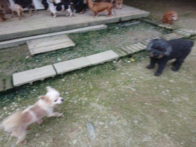 f:id:roukenhome-ann:20190724190122j:plain f:id:roukenhome-ann:20190724190122j:plain