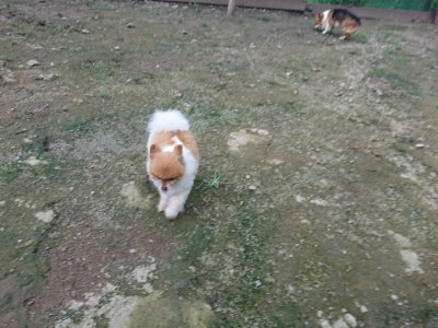 f:id:roukenhome-ann:20190724190133j:plain f:id:roukenhome-ann:20190724190133j:plain