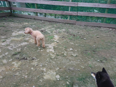 f:id:roukenhome-ann:20190724190138j:plain f:id:roukenhome-ann:20190724190138j:plain