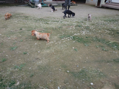 f:id:roukenhome-ann:20190724190210j:plain f:id:roukenhome-ann:20190724190210j:plain