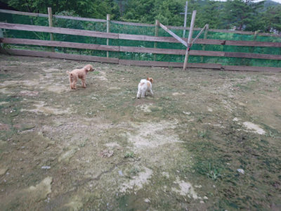 f:id:roukenhome-ann:20190724190305j:plain f:id:roukenhome-ann:20190724190305j:plain