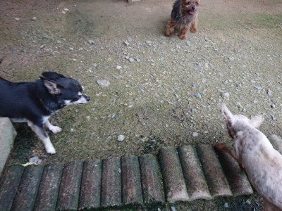 f:id:roukenhome-ann:20190724190326j:plain f:id:roukenhome-ann:20190724190326j:plain