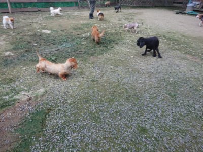 f:id:roukenhome-ann:20190724190344j:plain f:id:roukenhome-ann:20190724190344j:plain