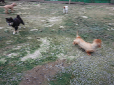 f:id:roukenhome-ann:20190724190349j:plain f:id:roukenhome-ann:20190724190349j:plain