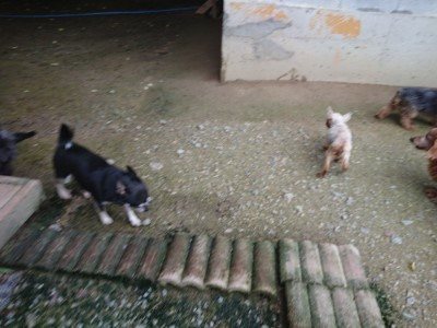 f:id:roukenhome-ann:20190724190354j:plain f:id:roukenhome-ann:20190724190354j:plain