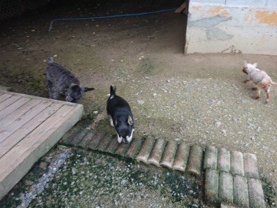 f:id:roukenhome-ann:20190724190359j:plain f:id:roukenhome-ann:20190724190359j:plain