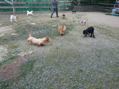 f:id:roukenhome-ann:20190724190414j:plain f:id:roukenhome-ann:20190724190414j:plain