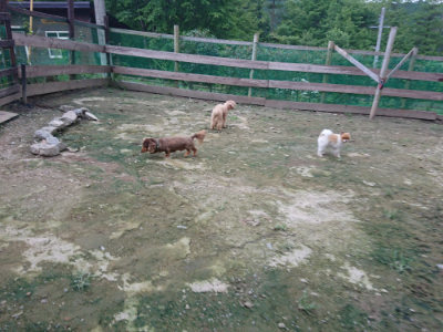 f:id:roukenhome-ann:20190724190425j:plain f:id:roukenhome-ann:20190724190425j:plain