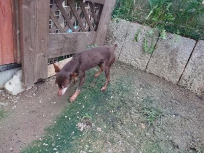 f:id:roukenhome-ann:20190724190446j:plain f:id:roukenhome-ann:20190724190446j:plain