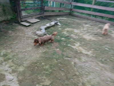 f:id:roukenhome-ann:20190724190502j:plain f:id:roukenhome-ann:20190724190502j:plain
