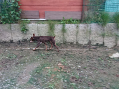 f:id:roukenhome-ann:20190724190539j:plain f:id:roukenhome-ann:20190724190539j:plain