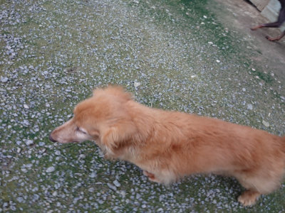 f:id:roukenhome-ann:20190724190642j:plain f:id:roukenhome-ann:20190724190642j:plain