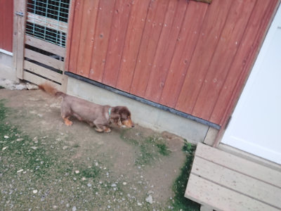 f:id:roukenhome-ann:20190724190647j:plain f:id:roukenhome-ann:20190724190647j:plain