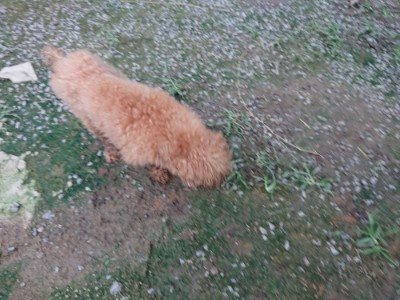 f:id:roukenhome-ann:20190724190709j:plain f:id:roukenhome-ann:20190724190709j:plain