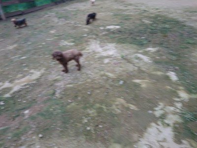 f:id:roukenhome-ann:20190724190714j:plain f:id:roukenhome-ann:20190724190714j:plain