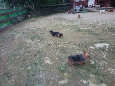 f:id:roukenhome-ann:20190724190735j:plain f:id:roukenhome-ann:20190724190735j:plain
