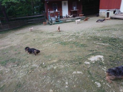 f:id:roukenhome-ann:20190724190739j:plain f:id:roukenhome-ann:20190724190739j:plain