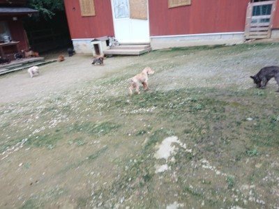 f:id:roukenhome-ann:20190724190748j:plain f:id:roukenhome-ann:20190724190748j:plain