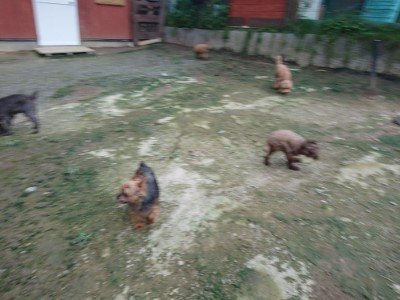 f:id:roukenhome-ann:20190724190757j:plain f:id:roukenhome-ann:20190724190757j:plain
