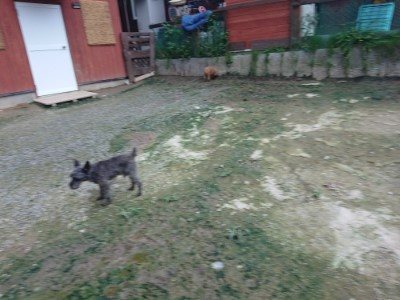f:id:roukenhome-ann:20190724190801j:plain f:id:roukenhome-ann:20190724190801j:plain