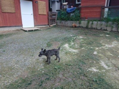 f:id:roukenhome-ann:20190724190805j:plain f:id:roukenhome-ann:20190724190805j:plain