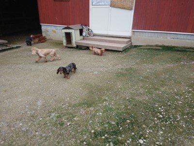 f:id:roukenhome-ann:20190724190810j:plain f:id:roukenhome-ann:20190724190810j:plain