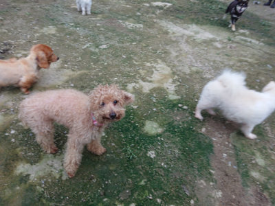 f:id:roukenhome-ann:20190724190820j:plain f:id:roukenhome-ann:20190724190820j:plain