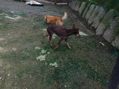 f:id:roukenhome-ann:20190724190828j:plain f:id:roukenhome-ann:20190724190828j:plain