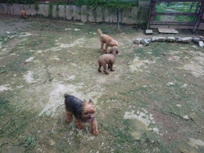 f:id:roukenhome-ann:20190724190832j:plain f:id:roukenhome-ann:20190724190832j:plain