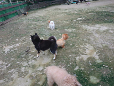 f:id:roukenhome-ann:20190724190909j:plain f:id:roukenhome-ann:20190724190909j:plain