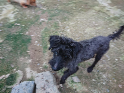 f:id:roukenhome-ann:20190724190913j:plain f:id:roukenhome-ann:20190724190913j:plain