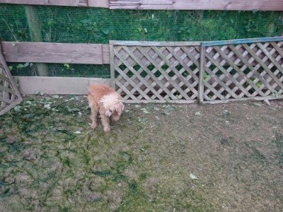 f:id:roukenhome-ann:20190724190930j:plain f:id:roukenhome-ann:20190724190930j:plain