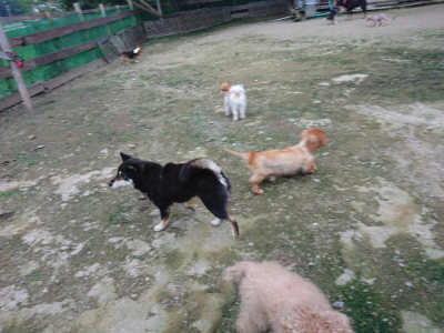 f:id:roukenhome-ann:20190724190937j:plain f:id:roukenhome-ann:20190724190937j:plain