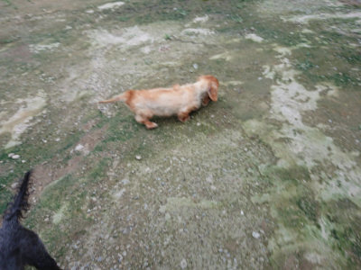 f:id:roukenhome-ann:20190724190958j:plain f:id:roukenhome-ann:20190724190958j:plain