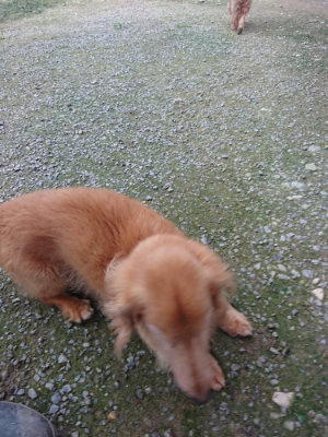 f:id:roukenhome-ann:20190724191103j:plain f:id:roukenhome-ann:20190724191103j:plain