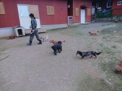 f:id:roukenhome-ann:20190724191131j:plain f:id:roukenhome-ann:20190724191131j:plain