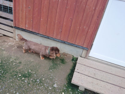 f:id:roukenhome-ann:20190724191701j:plain f:id:roukenhome-ann:20190724191701j:plain