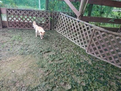 f:id:roukenhome-ann:20190724191711j:plain f:id:roukenhome-ann:20190724191711j:plain
