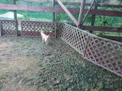 f:id:roukenhome-ann:20190724191730j:plain f:id:roukenhome-ann:20190724191730j:plain