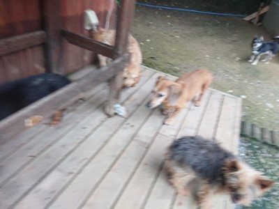 f:id:roukenhome-ann:20190724192049j:plain f:id:roukenhome-ann:20190724192049j:plain